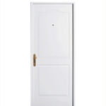 PUERTAS PREMIUM ESTAMPADAS Modelo: 5